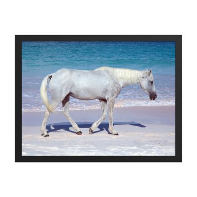 Pink Sand Prince 18×24 Framed Poster