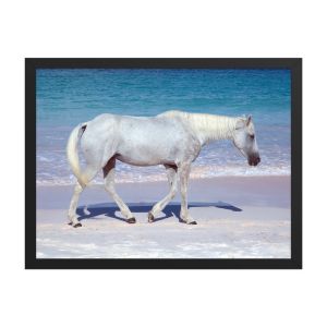 Pink Sand Prince 18×24 Framed Poster
