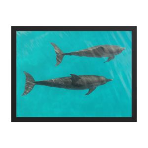 Twin Souls 18×24 Framed Poster