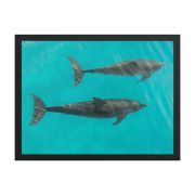 Twin Souls 18×24 Framed Poster