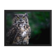Lord of the Woods 18×24 Framed Poster