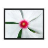 enhanced-matte-paper-framed-poster-in-black-18x24-front-6aa9858857b9e.jpg