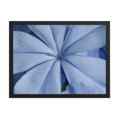 A Waking Dream 18×24 Framed Poster