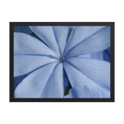 A Waking Dream 18×24 Framed Poster