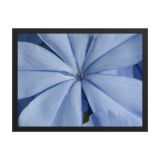 enhanced-matte-paper-framed-poster-in-black-18x24-front-6aa990e407058.jpg