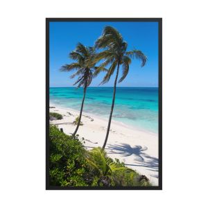 Secret Paradise 24×36 Framed Poster