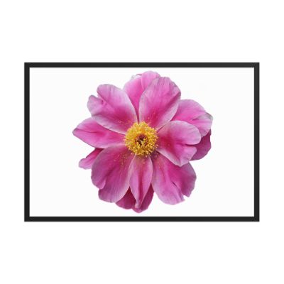 Pink Reverie 24×36 Framed Poster