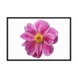 enhanced-matte-paper-framed-poster-in-black-24x36-front-6aa45dac8ad9e.jpg