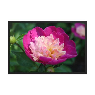 The Birth of Love 24×36 Framed Poster