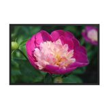 enhanced-matte-paper-framed-poster-in-black-24x36-front-6aa45fa945e97.jpg