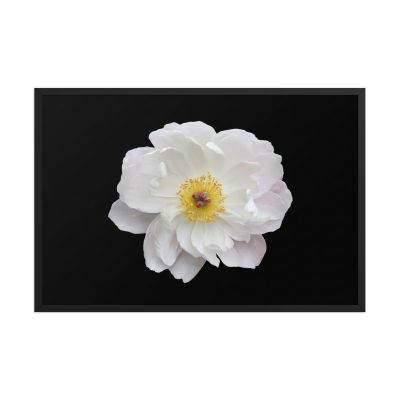 Light Out of the Dark 24×36 Framed Poster