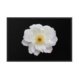 enhanced-matte-paper-framed-poster-in-black-24x36-front-6aa45fdbc7ccb.jpg
