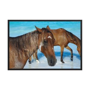 Free Spirits 24×36 Framed Poster