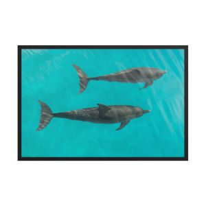 Twin Souls 24×36 Framed Poster