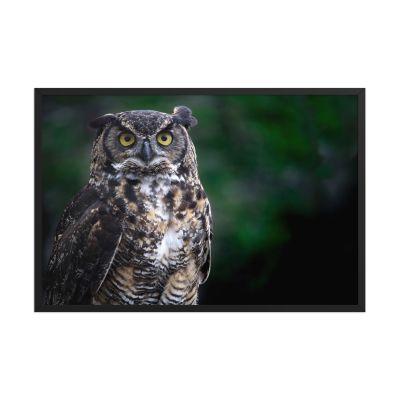 Lord of the Woods 24×36 Framed Poster