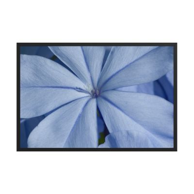A Waking Dream 24×36 Framed Poster