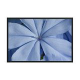 enhanced-matte-paper-framed-poster-in-black-24x36-front-6aa9913354b07.jpg