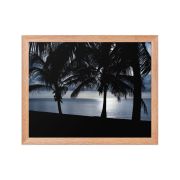 Twilight 11×14 Framed Poster