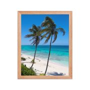 Secret Paradise 11×14 Framed Poster