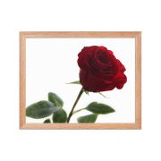 The Lovers Rose 11×14 Framed Poster