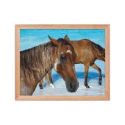 Free Spirits 11×14 Framed Poster