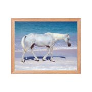 Pink Sand Prince 11×14 Framed Poster