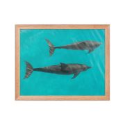 Twin Souls 11×14 Framed Poster