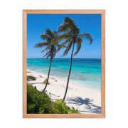 Secret Paradise 18×24 Framed Poster