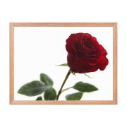 The Lovers Rose 18×24 Framed Poster