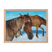 Free Spirits 18×24 Framed Poster