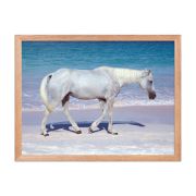 Pink Sand Prince 18×24 Framed Poster