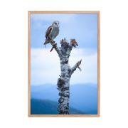 Athena 24×36 Framed Poster