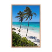 Secret Paradise 24×36 Framed Poster