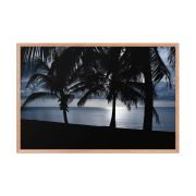 Twilight 24×36 Framed Poster