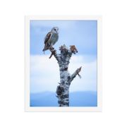 Athena 11×14 Framed Poster