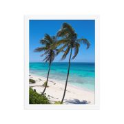 Secret Paradise 11×14 Framed Poster