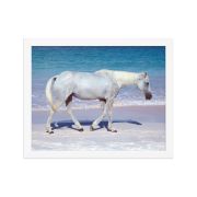 Pink Sand Prince 11×14 Framed Poster