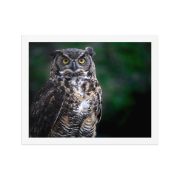 Lord of the Woods 11×14 Framed Poster