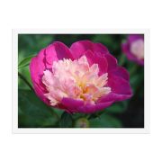 The Birth of Love 18×24 Framed Poster
