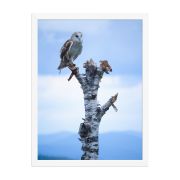 Athena 18×24 Framed Poster