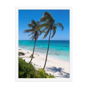 Secret Paradise 18×24 Framed Poster