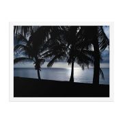 Twilight 18×24 Framed Poster
