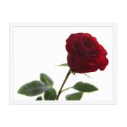 The Lovers Rose 18×24 Framed Poster