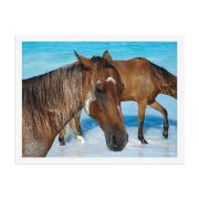 Free Spirits 18×24 Framed Poster