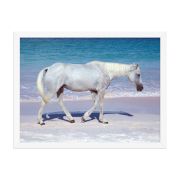 Pink Sand Prince 18×24 Framed Poster
