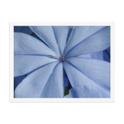 A Waking Dream 18×24 Framed Poster