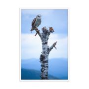 Athena 24×36 Framed Poster
