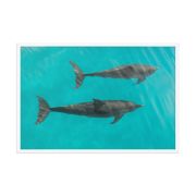 Twin Souls 24×36 Framed Poster