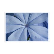 A Waking Dream 24×36 Framed Poster
