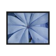 A Waking Dream 18×24 Framed Canvas Print